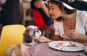 Familia con mascota en un restaurante